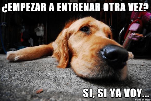 Pereza del Deportista